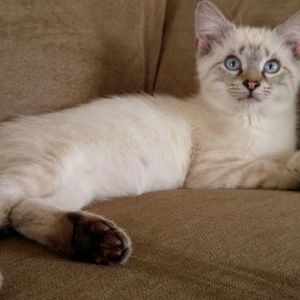 Meet your Posher, Emilie